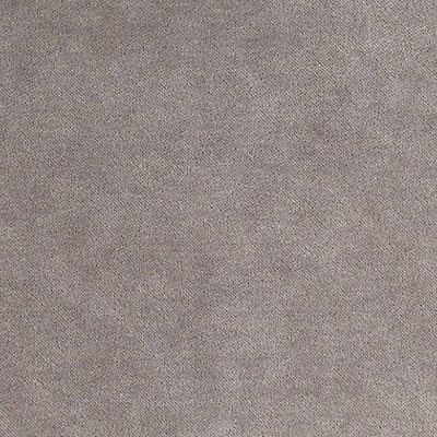 Scalamandre Aurora Velvet Grey Flannel TEXTURE PALETTE SC 0004K65110 Grey Upholstery POLYESTER  Blend Solid Velvet  Fabric