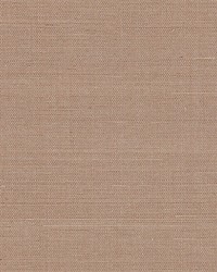 Fine Sisal Fawn by  Scalamandre Wallcoverings 