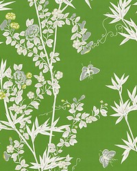 Jardin De Chine Jade by  Scalamandre Wallcoverings 