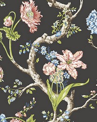 Andrew Jackson Floral Noir by  Scalamandre Wallcoverings 