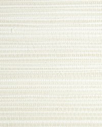 Seagrass Vellum by  Scalamandre Wallcoverings 