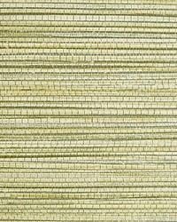 Willow Weave Grass by  Scalamandre Wallcoverings 