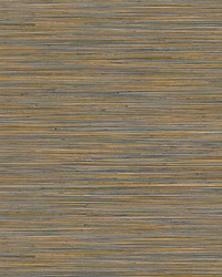 Akita Blue Orange by   