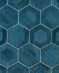 Hexad Indigo by  Scalamandre Wallcoverings 