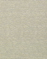 Aditi Plain Rhino by  Scalamandre Wallcoverings 