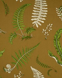 Elsie De Wolfe Greens On Brown by  Scalamandre 