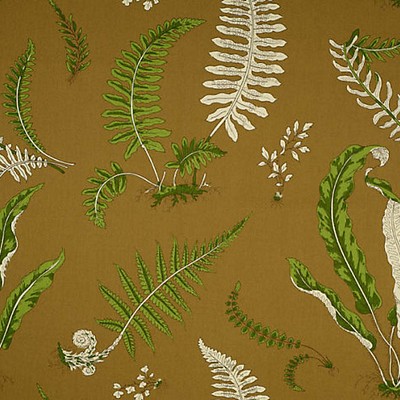 Scalamandre Elsie De Wolfe Greens On Brown OUTDOOR COLLECTION SC 000516425 Green Upholstery SOLUTION  Blend