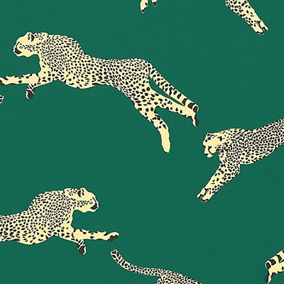 Scalamandre Leaping Cheetah Cotton Print Evergreen SAHARA SC 000516634 Green Multipurpose COTTON COTTON Jungle Safari  Fabric