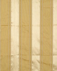 Federal Stripe Champagne  Antique Gold by   