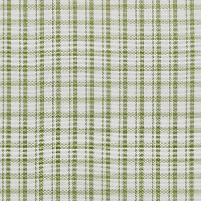 Scalamandre Astor Check Leaf BELLE JARDIN COLLECTION SC 000526983 Green Multipurpose SILK;50%  Blend Check  Fabric