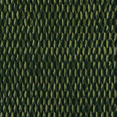 Scalamandre Allegra Velvet Emerald SC 000527184 Green Upholstery VISCOSE;25%  Blend Contemporary Velvet  Fabric