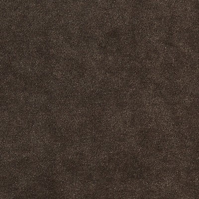 Scalamandre Aurora Velvet Sable TEXTURE PALETTE SC 0005K65110 Upholstery POLYESTER  Blend Solid Velvet  Fabric