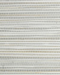 Seagrass Pewter by  Scalamandre Wallcoverings 