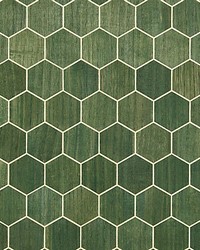 Andante Aloe by  Scalamandre Wallcoverings 