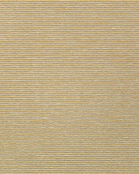 Aditi Plain Raffia by  Scalamandre Wallcoverings 