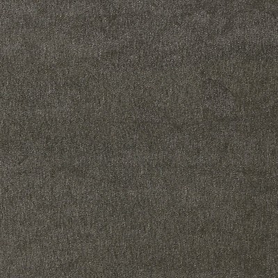 Scalamandre Bay Velvet Charcoal ISOLA INDOOR/OUTDOOR COLLECTION SC 000627193 Grey SOLUTION  Blend Solid Outdoor  Solid Velvet  Fabric