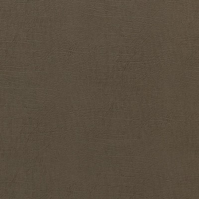 Scalamandre Cary Portobello FUNDAMENTALS - CONTRACT SC 000627261 Green Upholstery POLYURETHANE  Blend Solid Green  Fabric