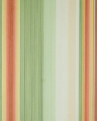 Simbolo Creams Berries Greens by   