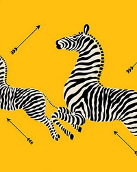 Zebras Yellow by   