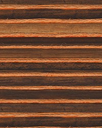 Kyoto Orange by  Scalamandre Wallcoverings 