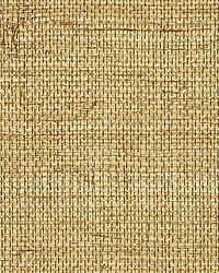 Sisal Metallic Burnished Gold by  Scalamandre Wallcoverings 