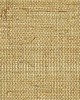 Scalamandre Wallcoverings SISAL METALLIC BURNISHED GOLD