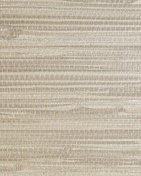 Pampas Driftwood by  Scalamandre Wallcoverings 
