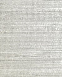Pampas Silver by  Scalamandre Wallcoverings 
