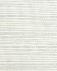 Seagrass Oyster by  Scalamandre Wallcoverings 