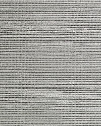 Savanna Seedling Graphite by  Scalamandre Wallcoverings 