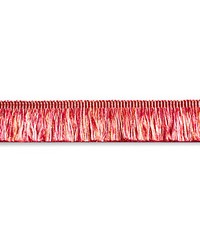 Gripsholm Brush Fringe Azalea by   