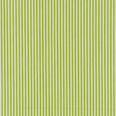 Scalamandre Kent Stripe Pear CHATHAM STRIPES & PLAIDS SC 001236395 Green Multipurpose COTTON COTTON Small Striped  Striped  Fabric