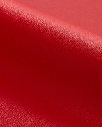 Clark  Outdoor Stop by   