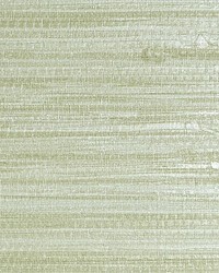 Pampas Seagrass by  Scalamandre Wallcoverings 