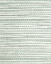 Seagrass Celadon by  Scalamandre Wallcoverings 