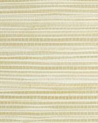 Seagrass Straw by  Scalamandre Wallcoverings 