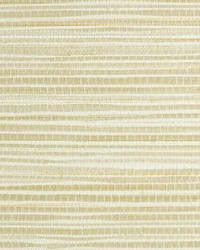Seagrass Straw by  Scalamandre Wallcoverings 