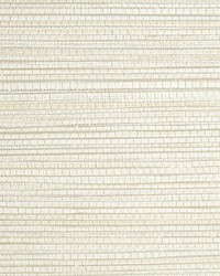 Willow Weave Pignoli by  Scalamandre Wallcoverings 