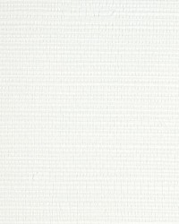 Savanna Seedling Froth by  Scalamandre Wallcoverings 