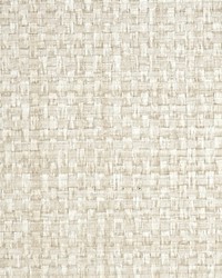 Jute Raffia by  Scalamandre Wallcoverings 