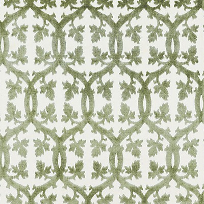 Scalamandre Falk Manor House Green Tea BOTANICA SC 001626690M Green Upholstery COTTON;50%  Blend Leaves and Trees  Fabric