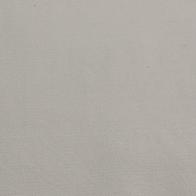 Scalamandre Dynasty Taffeta Greystone BELLE JARDIN COLLECTION SC 001636383 Grey Multipurpose SILK SILK Silk Taffeta  Fabric