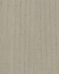 Woodgrain Dove by  Scalamandre Wallcoverings 