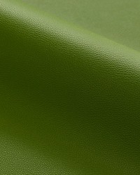 Clark  Outdoor Cricket by   