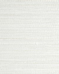 Feather Reed Moonbeam by  Scalamandre Wallcoverings 