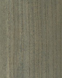 Woodgrain Beach Glass by  Scalamandre Wallcoverings 