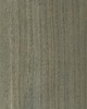 Scalamandre Wallcoverings WOODGRAIN BEACH GLASS