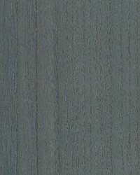 Woodgrain Blue Spruce by  Scalamandre Wallcoverings 
