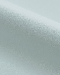 Clark  Outdoor Mist by   