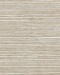 Sisal Greige by   